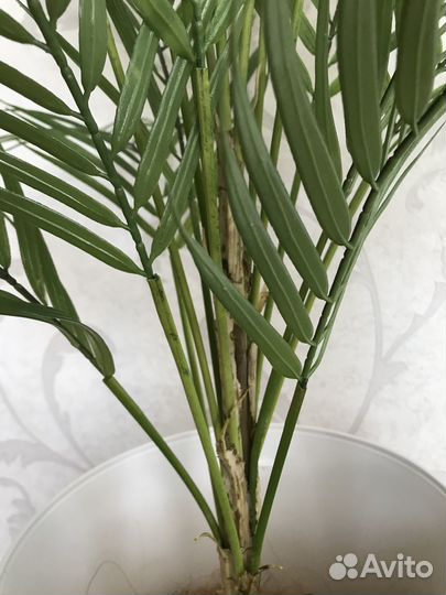 Искусственная пальма с кашпо на ножках икеа