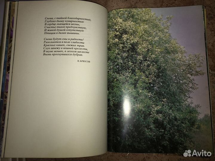 Книга Мещерская Сторона