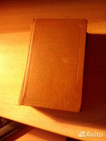 Польско-русский и русс.-польский карманный словарь