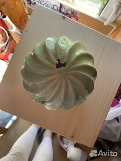 Кактус декоративный