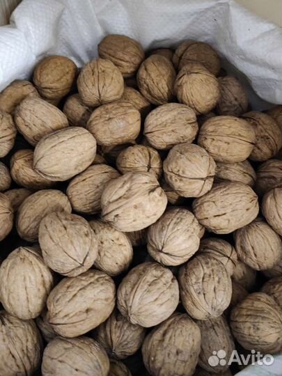 Грецкий орех в скорлупе Чили