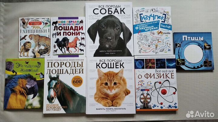 Энциклопедия