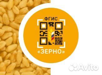 Оформление фгис меркурий