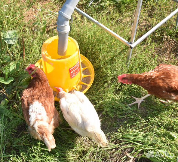 Бункер кормовой АВТОМАТИЧЕСКИЙ