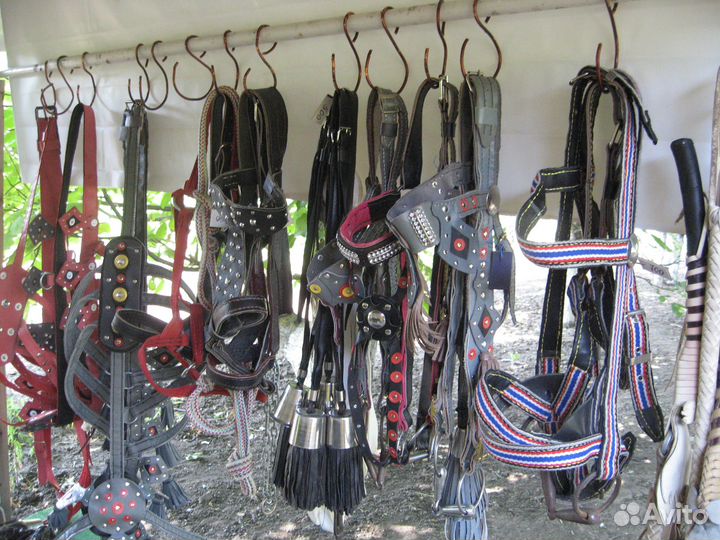 Товары для лошадей