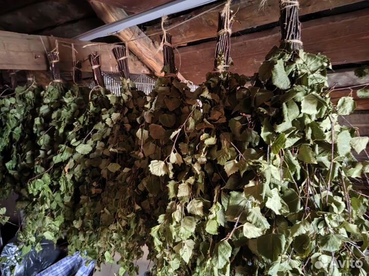 Дубовые веники для бани