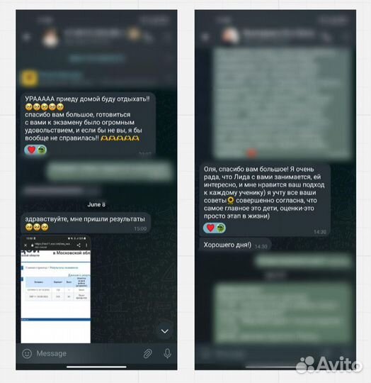 Репетитор по русскому языку и литературе