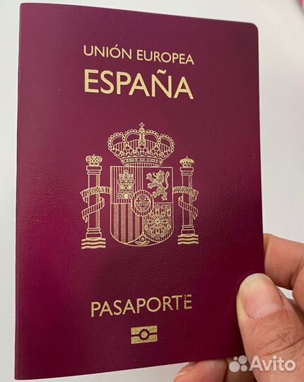 ВНЖ паспорт чили Аргентина испания без посредников