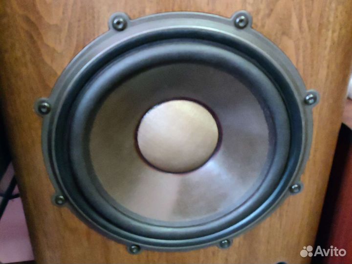 Напольная акустика Diatone DS-700 Z