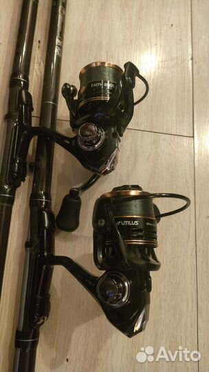 Kaida monarkh 500см
