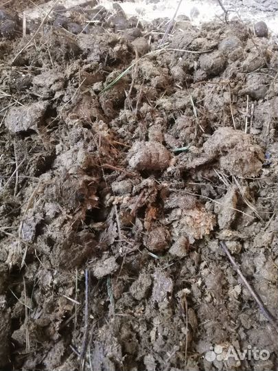 Навоз перегной