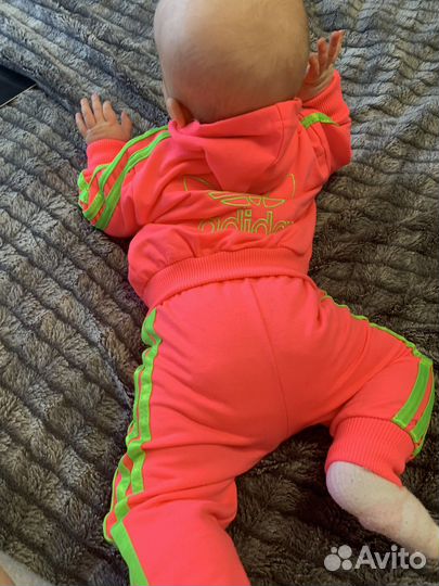 Спортивный костюм Adidas 62-68