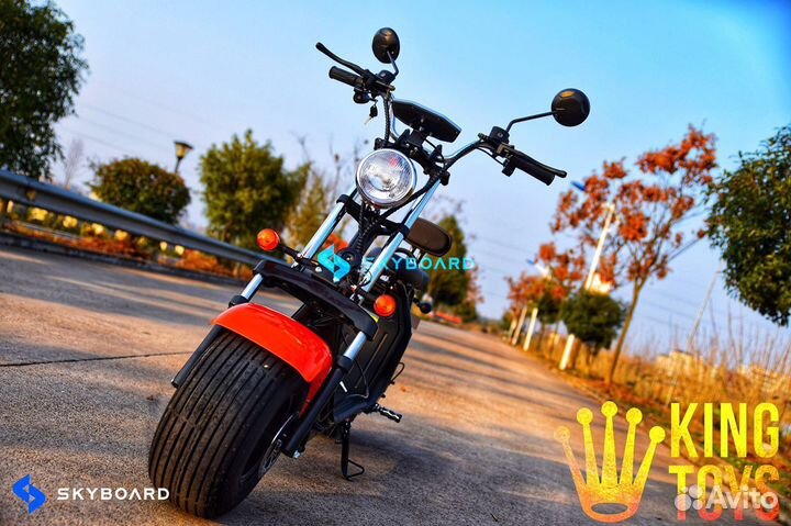 Электроскутер Citycoco SkyBoard BR20-2WD