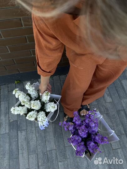 Маттиола, букет из маттиолы с доставкой