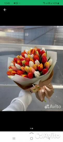 Тюльпаны доставка
