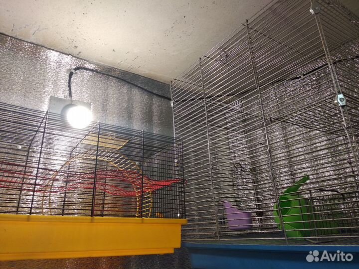 Клетки для птиц- морских свинок- крыс-дегу и тд