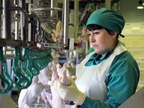 Упаковщик(ца) мяса птицы, Вахта в Челябинск