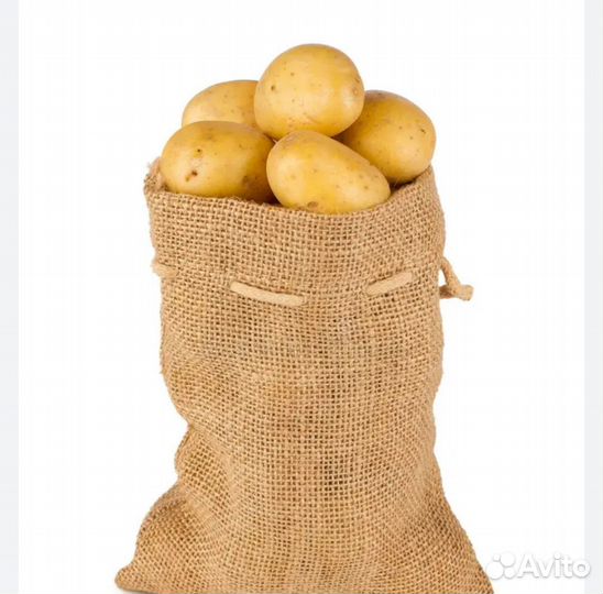 Картофель прошлогодний