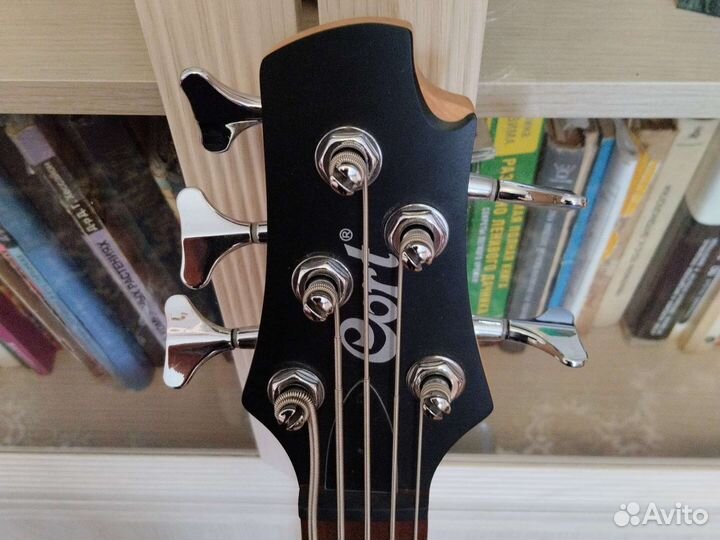 5 струнная бас гитара
