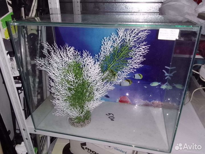 Аквариум