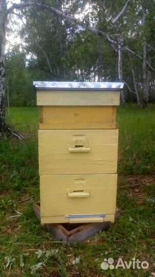 Улей для пчел