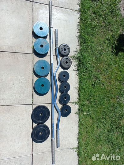 Грифы и блины