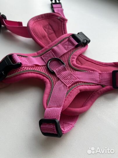 Шлейка для собаки