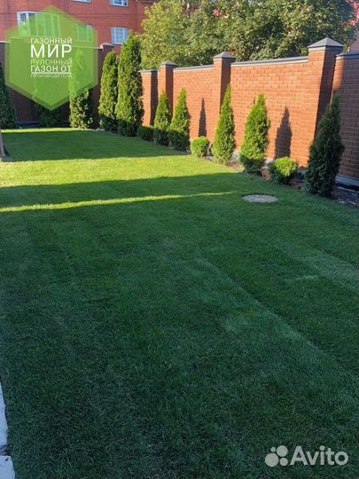 Рулонный газон