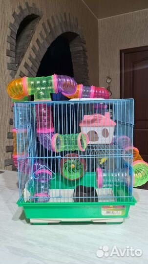 Клетка для джунгарского хомяка