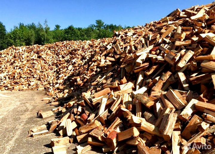 Дрова в тот же день