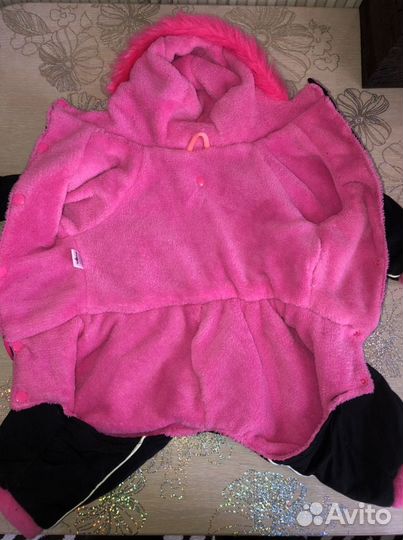 Одежда для собак