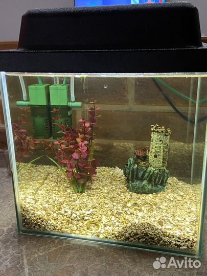 Аквариум