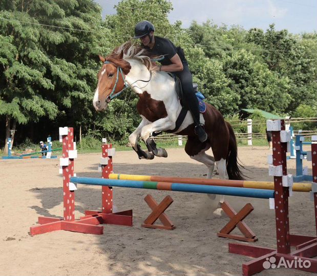 Прокат/фотосессия/походы на лошадях