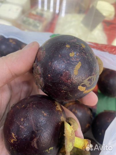 Мангустины Колумбия