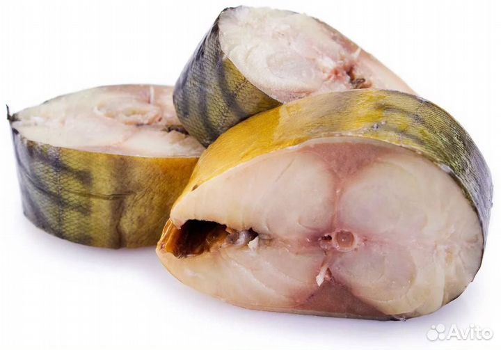 Рыба Скумбрия х/к