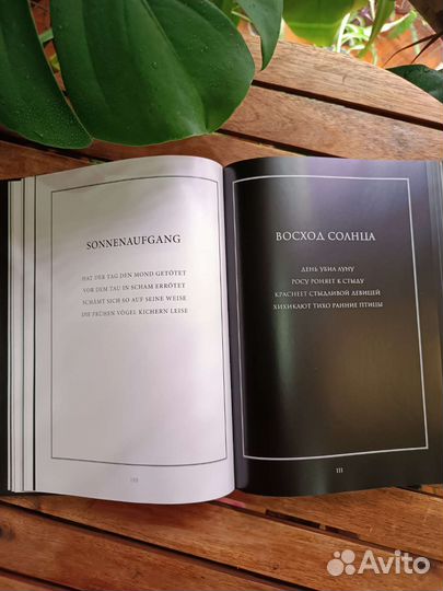 Тилль Линдеманн 