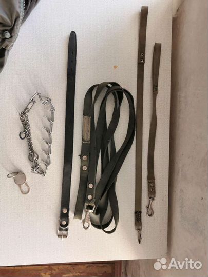 Ошейник для собак