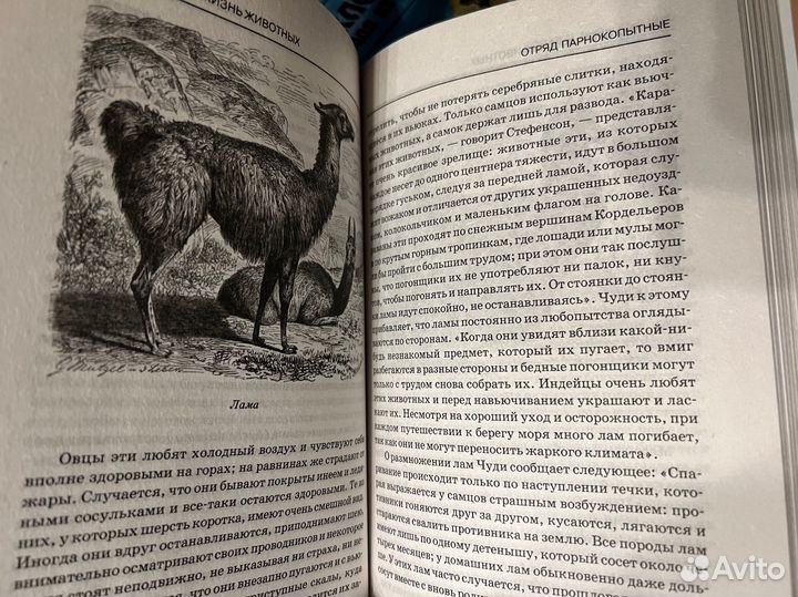 Коллекция книг 24 тома Альфред Брем Жизнь животных