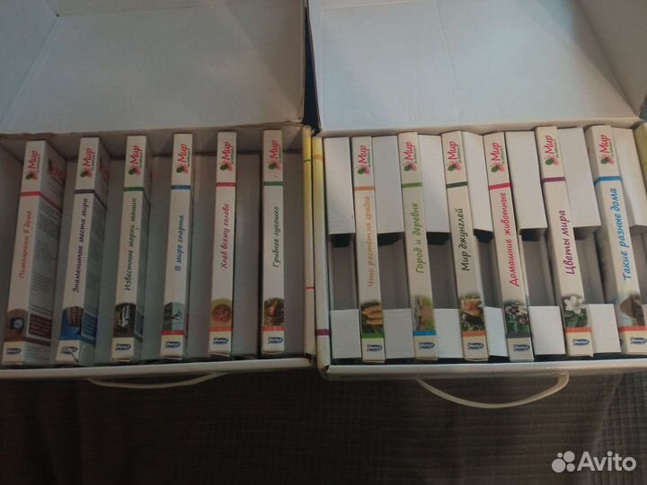 Карточки умница мир на ладошке