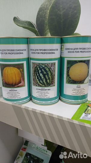Семена арбуза продюсер, лада,эфиопка