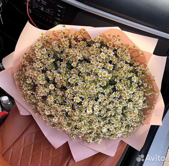 Букеты ромашек