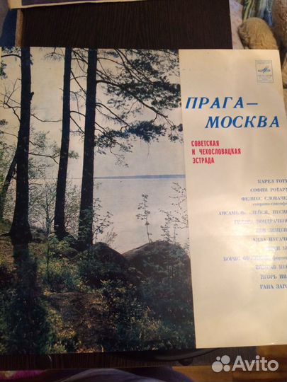 Виниловая пластинка