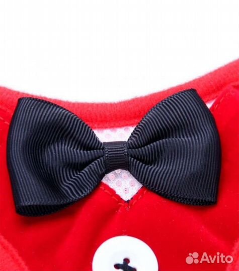 Шлейка для небольшой собаки, кошки