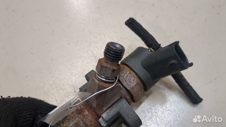 Форсунка топливная BMW X5 E53, 2002