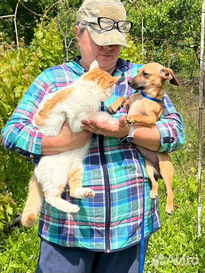 Крошечка щенок в добрые руки