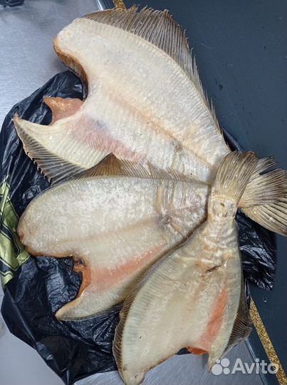 Камбала, корюшка, ерш