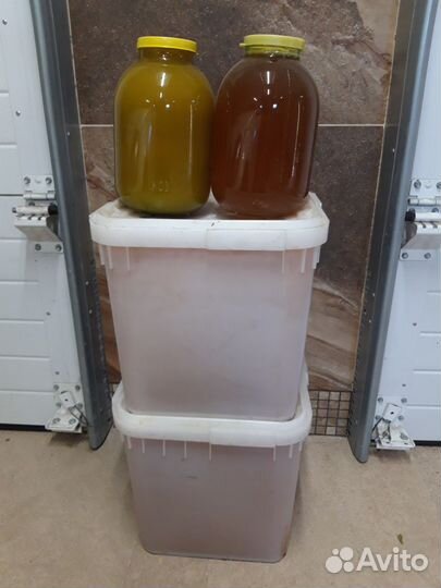 Мед натуральный (разнотравье) 2023 года