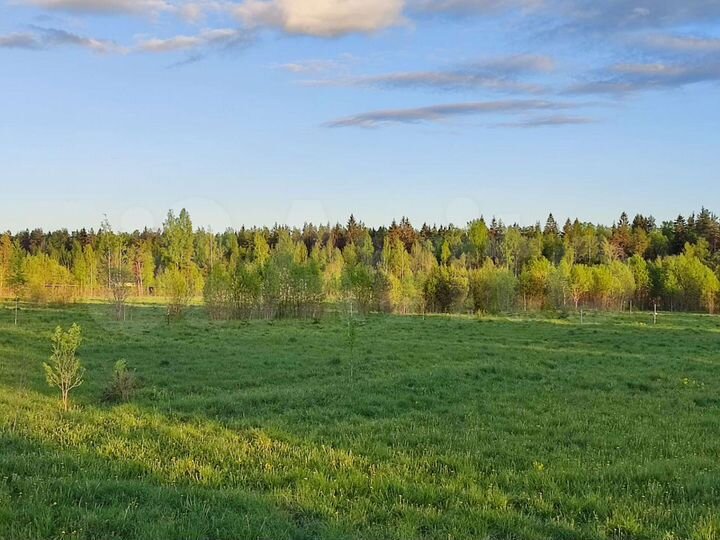 Участок 12 сот. (СНТ, ДНП)
