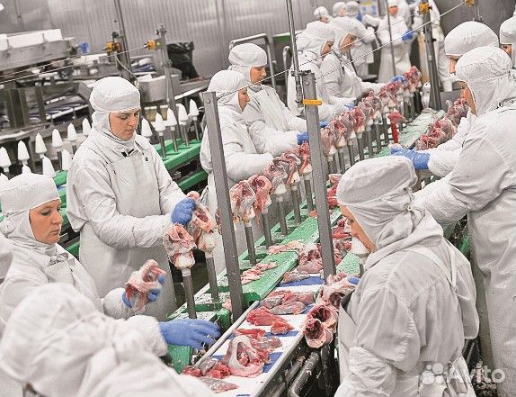 Рабочий на птицефабрику Самарская область