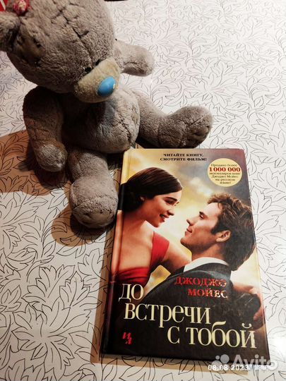 Книга до встречи с тобой